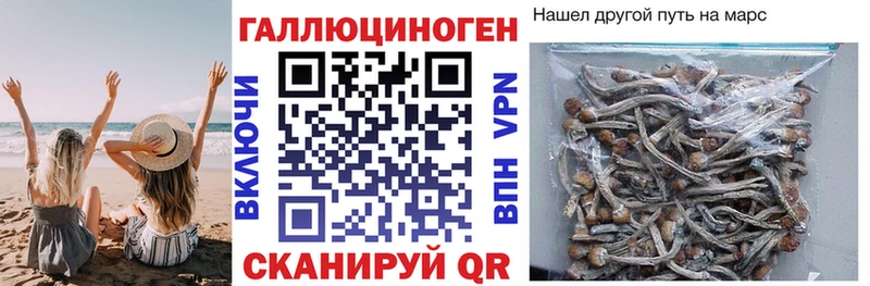 Галлюциногенные грибы мухоморы  мега онион  Лесной 