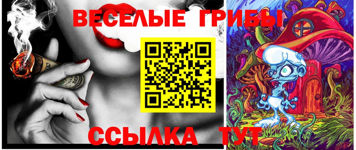 Псилоцибиновые грибы Cubensis  наркота  Лесной  Вход с VPN  Галлюциногенные грибы Psilocybe 